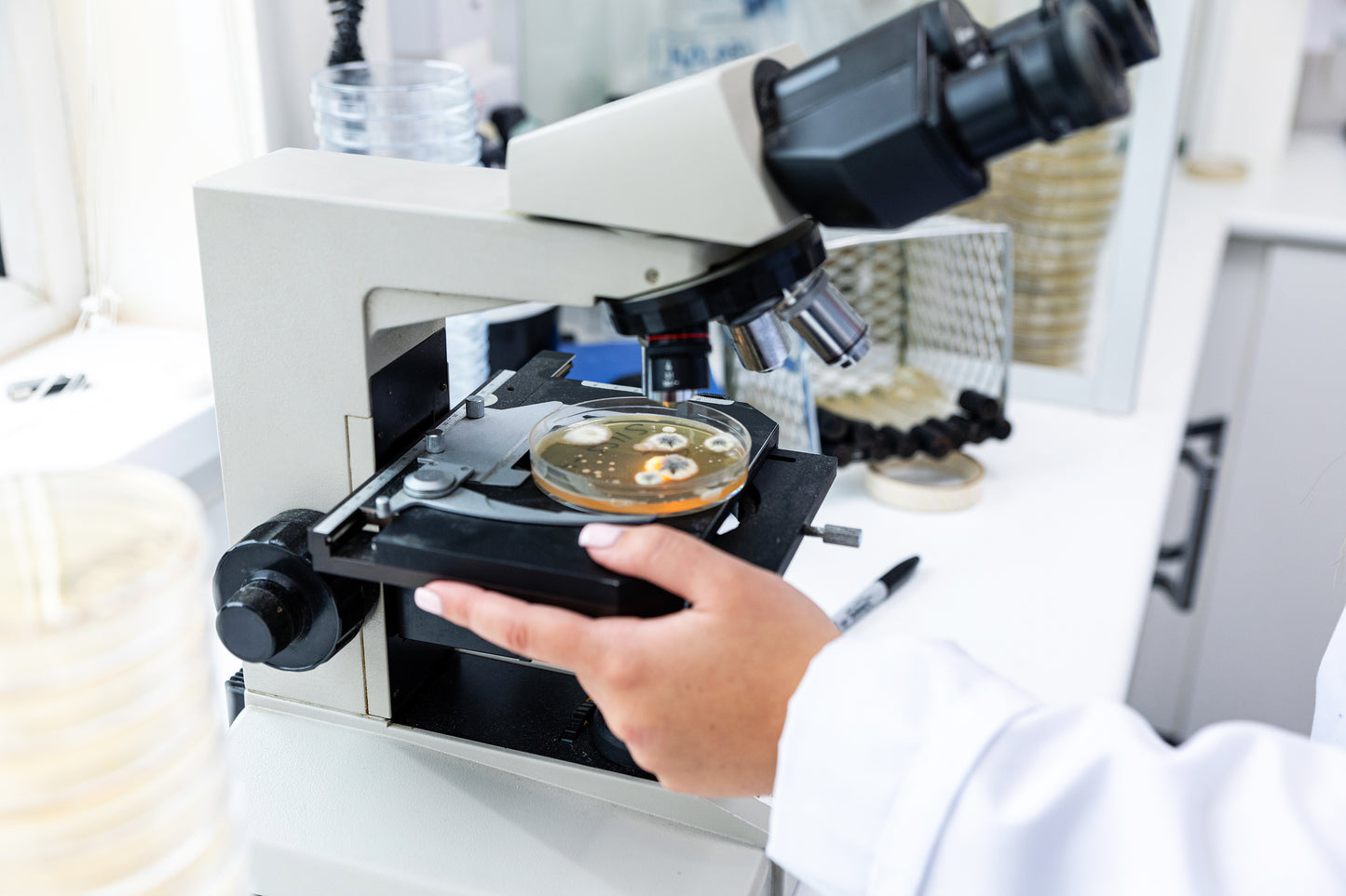 Introduction to Cosmetic Microbiology - Tuesday 1st July 2025