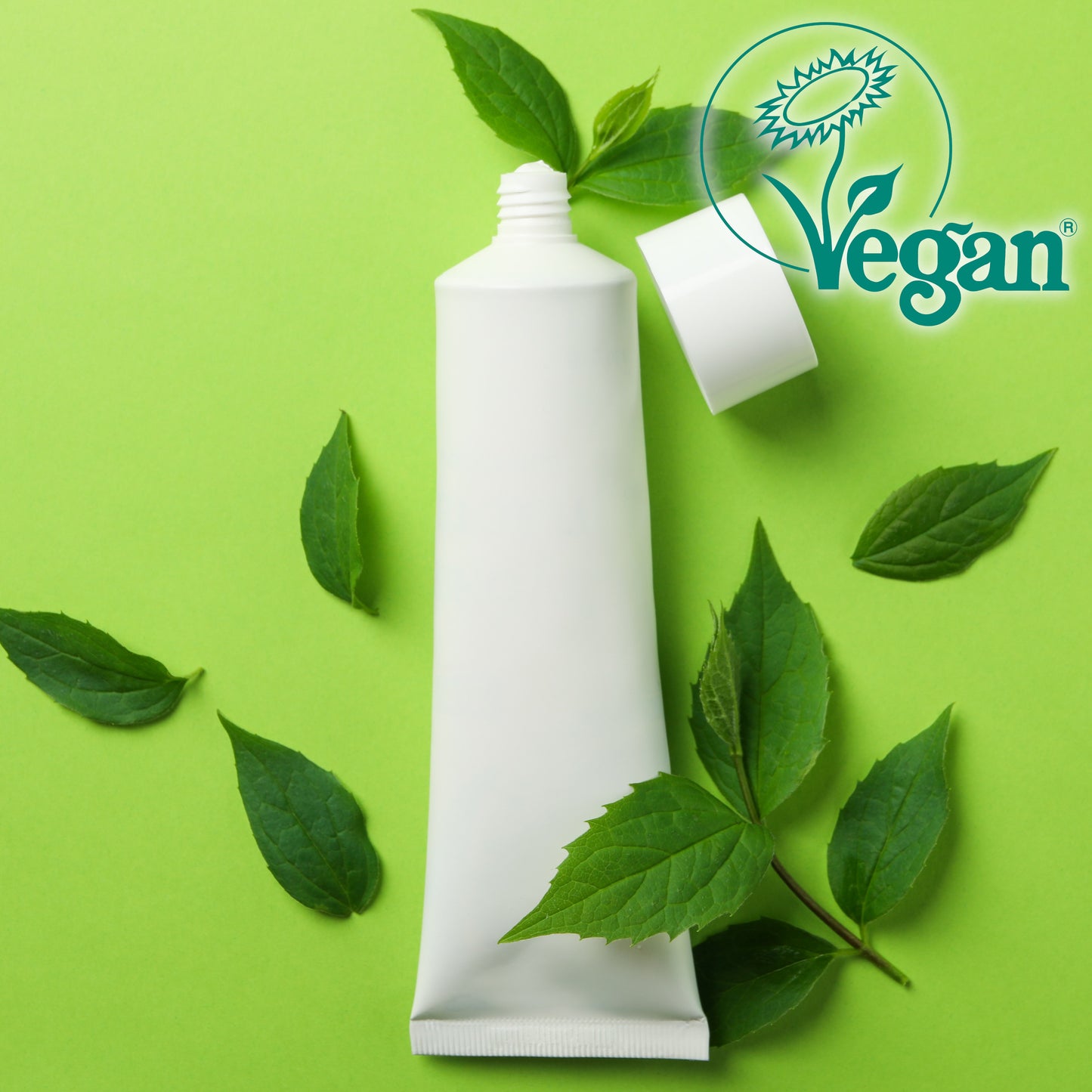 Vegan USP 51 Challenge Test