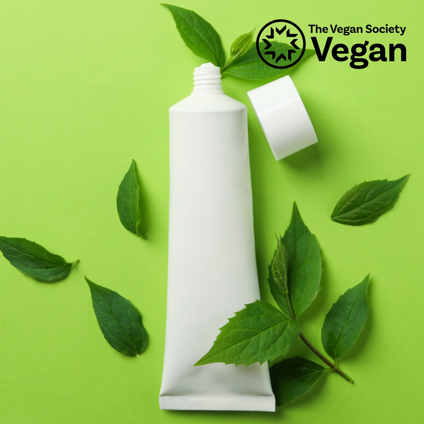 Vegan EP Challenge Test + Stability Testing