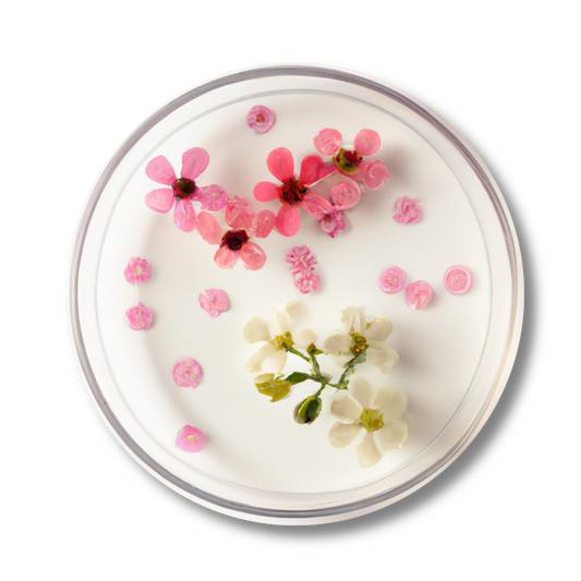 Antimicrobial Package